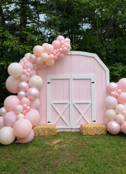 Barn Backdrop for Rent Long Island